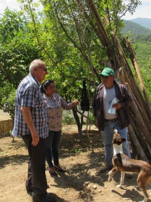 WhatsApp Image 2026-01-30 at 13.09.51